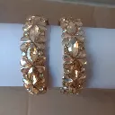 WhatsApp Image 2026-02-04 at 10.53.59 AM.webp