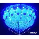 WhatsApp Image 2026-02-05 at 9.16.39 AM.webp