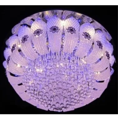 WhatsApp Image 2026-02-05 at 9.16.39 AM (1).webp