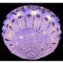 WhatsApp Image 2026-02-05 at 9.16.39 AM (1).webp