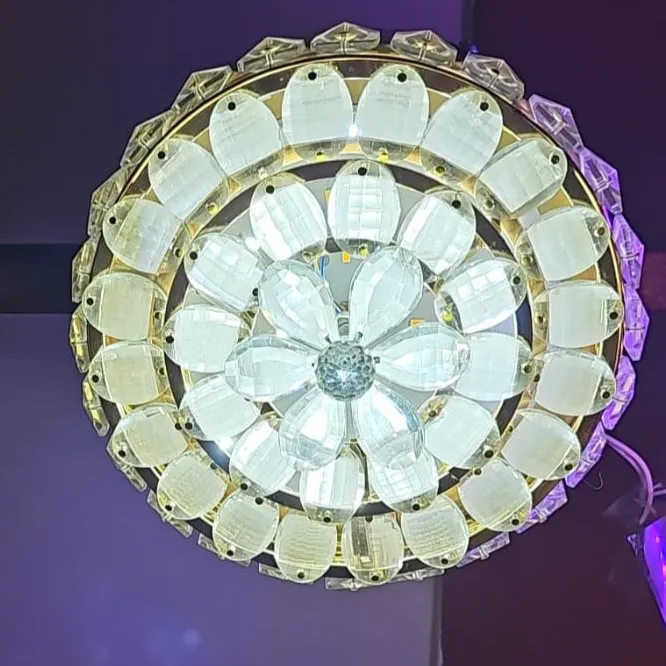 WhatsApp Image 2026-03-11 at 2.10.17 PM.webp