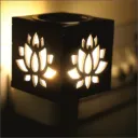 Kapoor Dani (B)
