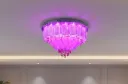 600mm Chandelier  (52)